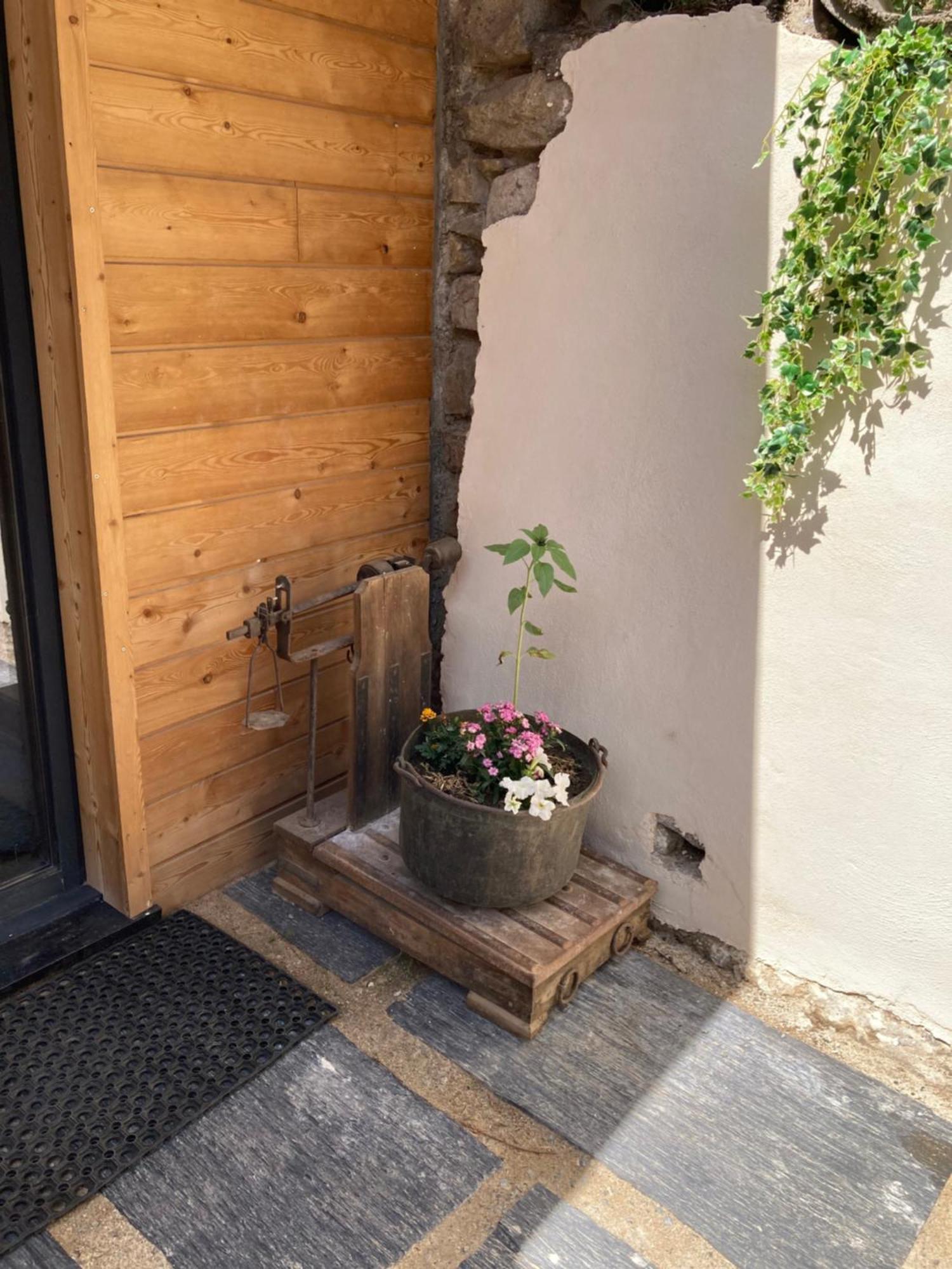 Chalet Melba Le Clos Des Ours Matemale Εξωτερικό φωτογραφία